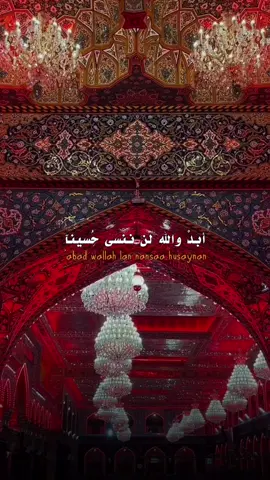 #الامام_الحسين_عليه_السلام🍂 #باسم_الكربلائي_سفير_الانشاد_الحسيني #اهل_البيت_عليهم_سلام #زيارة_الأربعين #باسم_الكربلائي_رادود_ما_له_مثيل #محرم_1447 #fyp #explore 