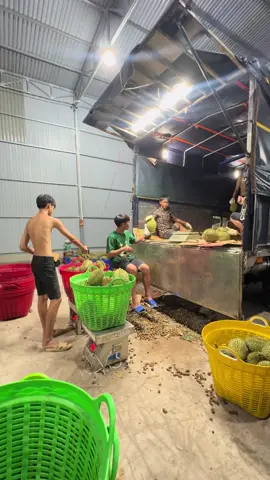 Mẫu đẹp mà đồi mồi quá nhiều🥵#sauriengvietnam #sauriengmiendong #khangnho49 