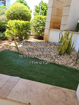 מחזיר עוקבים לכולם!🫶