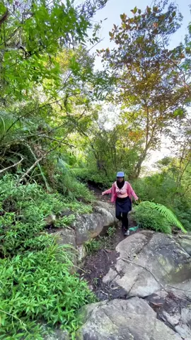 Nih track jalur budug asu yg muter