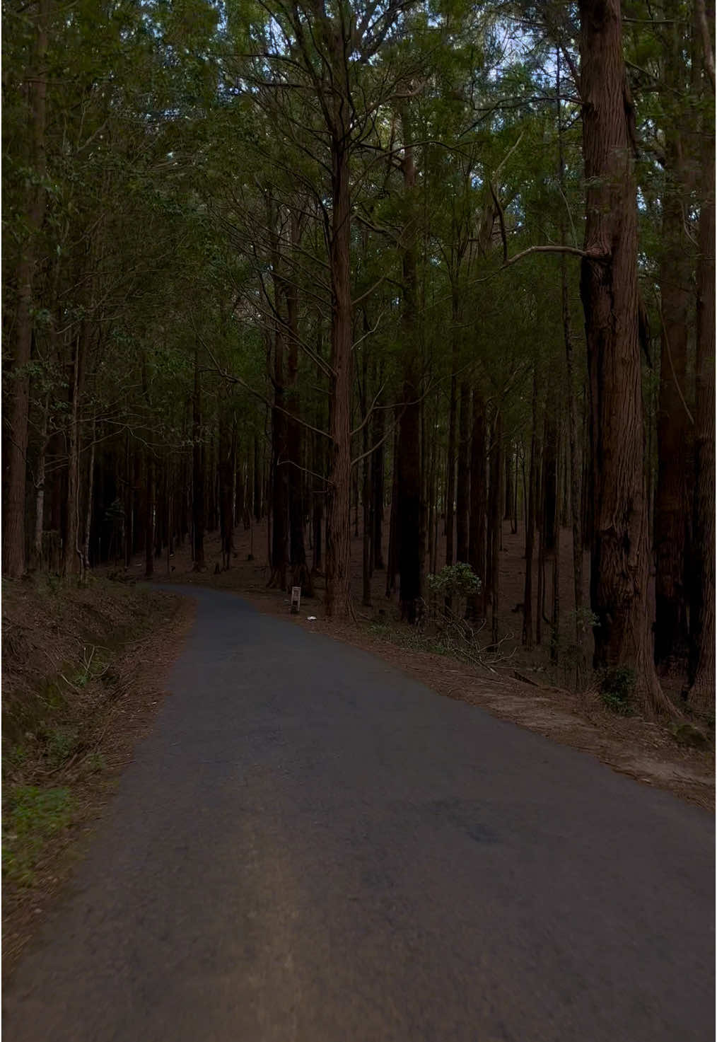 සොබාදහම කියන්නෙ හරි අපූරැ තැනක් 💚🏍️ #travel #shorts #mindset                                              _                                                        _                                                       _                                                         _                                                         _                                                       _                                                          #srilanka #nature #shorts #ti̇ktok #mindset #bike #bikeride #trending #mostbeautyfullplace 
