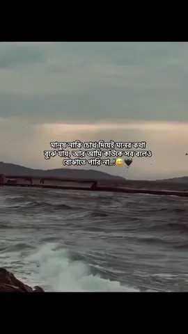 মানুষ নাকি চোখ দিয়েই মনের কথা বুঝে যায়, আর আমি কাউকে সব বলেও বোঝাতে পারি না..!😅🖤#foryou #foryoupage #status #btiktokofficial #viral #unfreezemyacount @TikTok @TikTok Bangladesh 