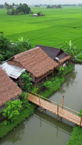 ទីកន្លែងគួរឲ្យចង់រស់នៅ🌾🏡 #countryside #rurallife #nature 