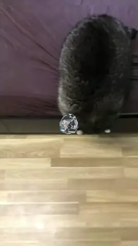 Doctor zlo prime 😈😈😈 @ЕНОТ ПУСИЧ #capcut#edit#fyp#recommendations 