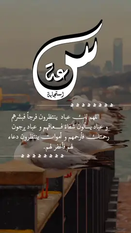 اللهم لك عبادٌ ينتظرون فرجاً فبشرهم و عبادٌ يسألون شفاءً فعافهم وعبادٌ يرجون رحمتك فأرحمهم وأمواتٌ ينتظرون دعاء لهم فأغفرلهم#foryou #foryoupage #fypシ゚ 