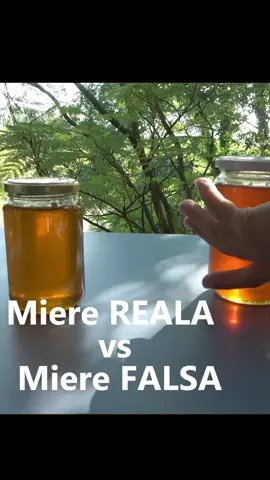 Miere reala vs miere falsa! #mieredealbine🍯🐝 #miereadevărată #bacauromania🇷🇴 