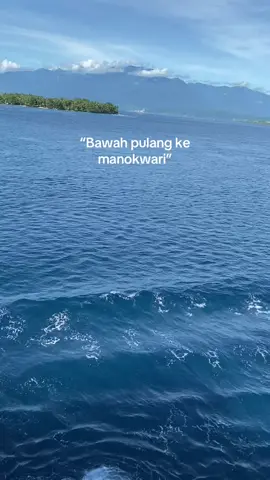 #manokwaritiktok  #fyppppppppppppppppppppppp #superairjet 