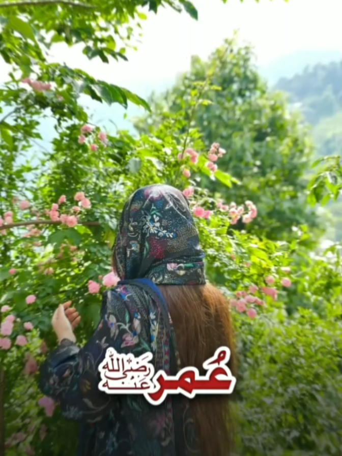 #CapCut ❤️🕊👑#foryou #fypシviralシ #islamic_video #unfrezzmyaccount #fyppppppp #tittokpakistan 