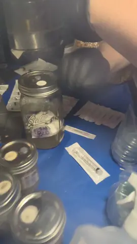 Putting some contaminated LC on agar to try and preserve the strains. #mycologyeducation #learningmycology #mycelium #mycology101 #mycology #mycologytok 