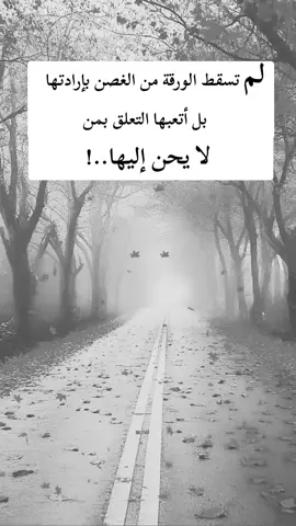 #اكسبلور 