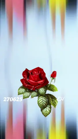 #foryou #trendingvideo #fyp 