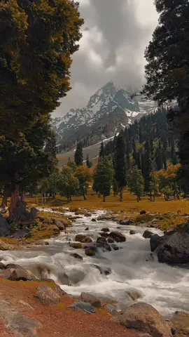 💔😢..#foryoupagе #pashto #poetry #lines #naturewithzk #fyp #1millionaudition 