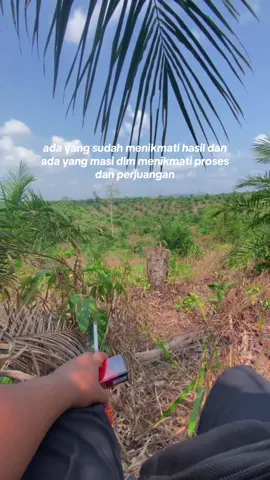 gimana kawan udah di pase apa?🌴 #sawitontiktok #petanimuda #foryou #fyp 