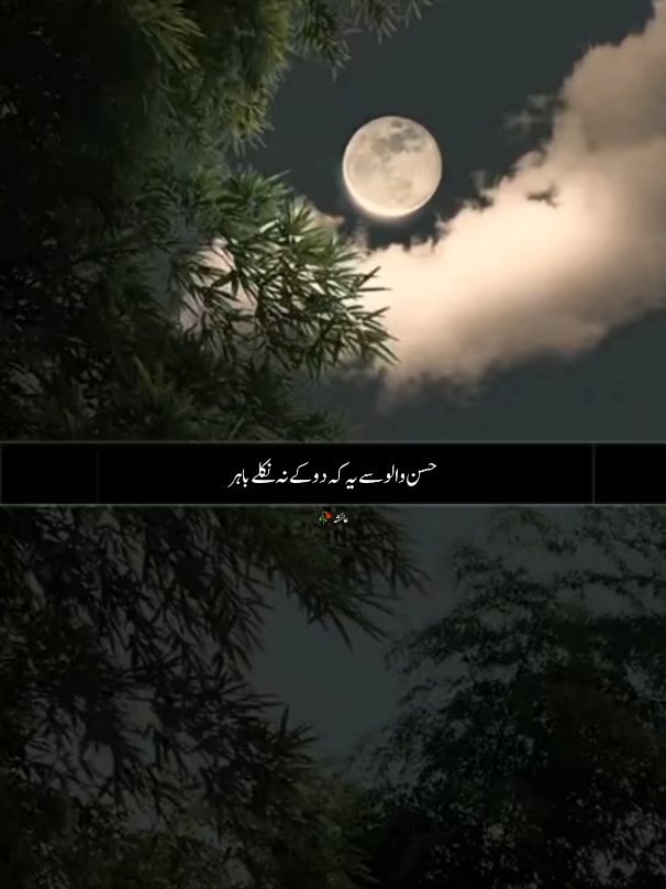 🥀🖤 #nusrat_fateh_ali_khan_fans♥️  #ustadnusratfatehalikhan  #unfrezzmyaccount  #nusratfatehalikhan #nfakgazal #nfakstatus #nafak_lines #nafak_love #deeplined #foryoupages #foryoupages #foryoupages 🥀