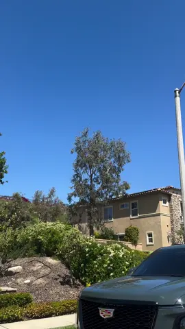 @Pedrixx Detailing 🃏 