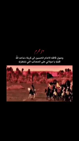 #دخول_الامام_الحسين_الى_كربلاء #قناه_تلي_بالبايو👆🏻 #لايك__وتعليق__واكسبلور #محرم🥺🏴 #عاشوراء🏴🥺💔 #كربلاء_مدينة_العشق_والعاشقين 