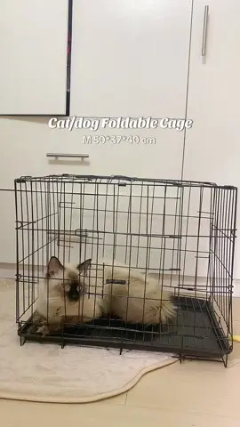 Medium Dog/Cat Cage with Tray Poop | click the yellow basket 🛒 #catcage #dogcage #catessentials #dogessentialsph #cathome #doghome 