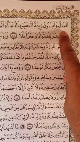 Recitation Of Quran 📖 🎧🫀 #🤍 #quran #fyp #fypシ #viral #tiktok #foryoupage #growmyaccount #unfrezzmyaccount 