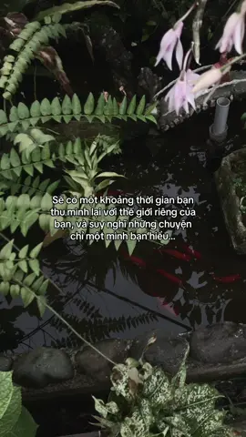 …#tamtrang #story 