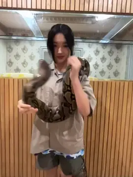 delynn main sama ular agak ngeri yaa #delynnjkt48 #jkt48 #jkt48newera 