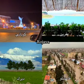 #roj_de #kurdista 