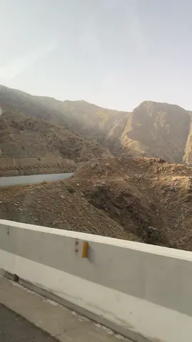 #اكسبلورexplore 