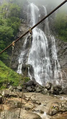 💦 *Mençuna Şelalesi*, Artvin’in *Arhavi ilçesi* sınırlarında yer alan, Karadeniz’in en güzel şelalelerinden biridir. --- 📍 *Genel Bilgi:* - *Konum:* Artvin – Arhavi – Kamilet Vadisi   - *Uzaklık:* Arhavi ilçe merkezine yaklaşık 15 km   - *Yükseklik:* Yaklaşık 90 metre yüksekliğinde dökülen güçlü bir şelaledir   - *Yol:* Son 1,5 km’si yürüyüş parkurudur (ormanın içinden patika ve merdivenler) --- 🍃 *Özellikleri:* - Gür ormanların ve sarp kayalıkların arasında gizlidir   - Suyu yazın bile oldukça serindir   - Yol üzerinde *Çiftekemer Köprüsü* gibi tarihi taş köprüler de görülebilir   - Kamp, piknik ve fotoğrafçılık için uygundur --- ⏱️ *En iyi ziyaret zamanı:*   - Mayıs – Ekim arası   - Yaz aylarında debisi düşse de yürüyüş daha kolay olur Mençuna Şelalesi, hem doğa yürüyüşü hem de Karadeniz’in eşsiz güzelliğini yaşamak isteyenler için harika bir duraktır. #keşfetteyizzz #keşfet #travel #hopa #arhavi #karadeniz #sarpi #moodboost #mood 