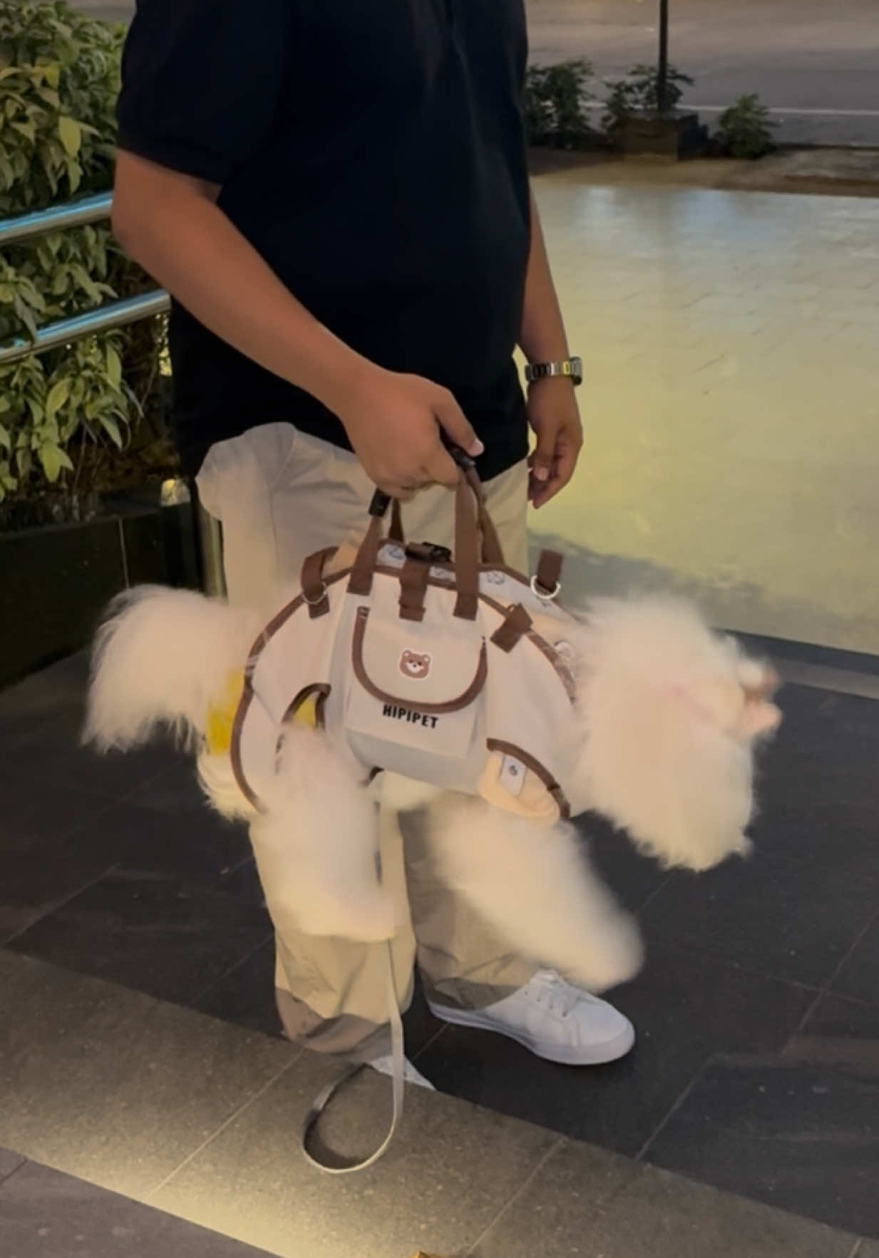 ✨Hey furparents!✨ Make every adventure with your furbaby comfy and hassle-free with this cute and breathable HIPIPET Carrier Bag 🐾🎒 Perfect for traveling, mall strolling, or just going around town. Your pet stays snug, safe, and stylish! 💕 ✅ Comfortable for pets ✅ Lightweight & adjustable ✅ Hands-free convenience