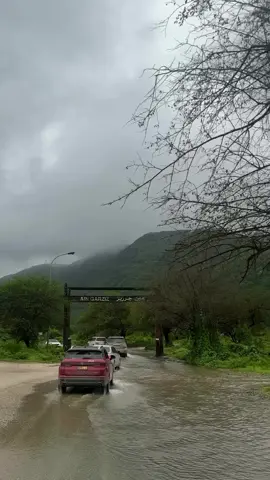 Beautiful Whether Oman Salalah 🇴🇲🥰  #foryou #everyone #viewers #oman #salalah🇴🇲 #salalah2025 #salalahoman 
