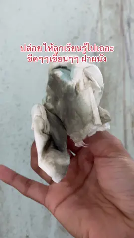 ปล่อยให้เด็กเรียนรู้ไปเถอะ  บ้านไหนลูกขีดเขียน ฝาผนังแบบนี้ ต้องลอง #เขียนผนัง  #คราบสกปรก  #rabito  #บ้านสะอาด  #น้ํายาทําความสะอาด  #ของใช้ในบ้าน #ป้ายยาtiktok 