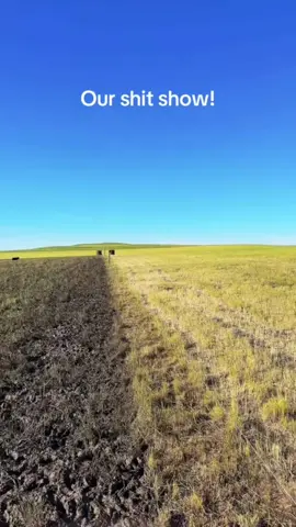 #stitch with @HungrymanButteRanch #agtok #farmtok #regenerativeagriculture 