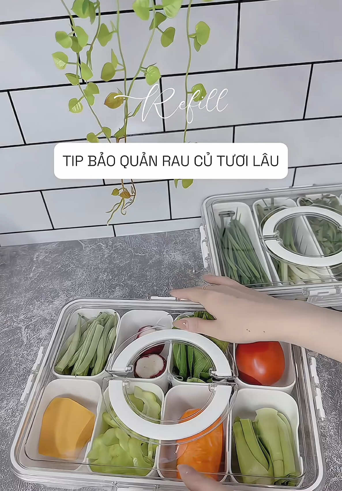 Món đồ chân ái của nhà tui. Hộp trữ rau củ quả nhiều ngăn tiện lợi. Bảo quản ngăn mát khá lâu. Các mom có bé ăn dặm tham khảo em này. Đang có g.ia hời🌶️🥬🫛🥕#Wink 