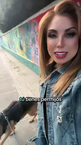 #perritos 