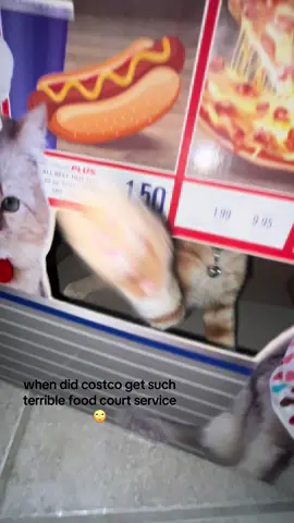 i just asked for a hotdog and she started swinging 😞@Costco Wholesale #fyp #costco #membership #meow 