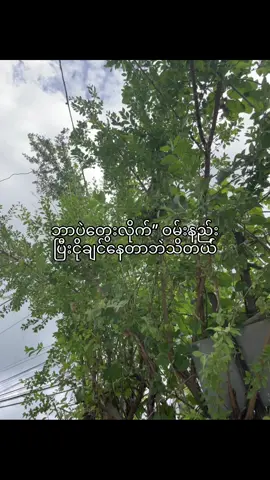 ဘာတွေဝမ်းနည်းလို့ဝမ်းနည်းမန်းလဲမသိ🥀#fyppppppppppppppppppppppp #tiktok #livephoto #fypシ゚viral🖤tiktok #tiktokmyanmar🇲🇲 #foryou #foryou #fypシ゚ #crdစာသား 