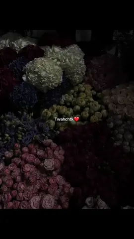 #fypシ゚ #fouryou 