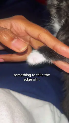 LMAOOO I love him sm #jeracore #pimpjera #trending #relatable #xzybca #foryou #fypシ #for #fypdongggggggg #fypage #fypシ゚viral #tuxedocat #kitten 