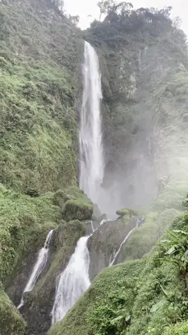 #pageforyou #motivasi #fyppppppppppppppppppppppp 