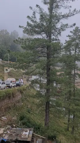 Murree😍❤️ #murreenews #gpomurree #chairlift #murreelivetoday #murreeproperty #expressway #jhikagali #cloudy #murreehills #patriata #viral #bhurban #murree_hills #update #pindipoint #hotel #murreeweather #foggy #murree_ #murree 