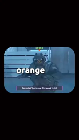 Meoww 🙈 #csgomoments #gamingcommunitycs #cs #counterstrike #cs2 #csgofunny #csgo #csgomemes 