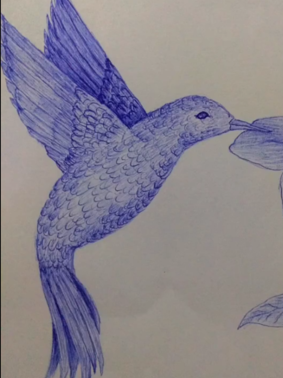 #speeddrawing #canetabicazul 