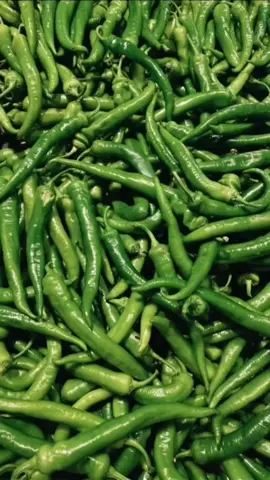 Blending in, but still the spiciest 🌶️🐍 #magichourai #madewithmagichour #magichourillusions #wild #wildanimals #animals #vegetables #transformation #ai #aigenerated #aivideo #viraltiktok #trending #fyppppppppppppppppppppppp 