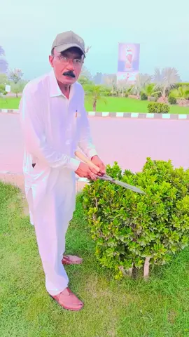 #foryou #fyp #viral #trending #viral_video #m.idrees4k #fazi.1970 #trandingvideo #foryoupage #100kfollowers #100k #unfreezemyacount #unfreezemyaccaunt🙏🙏🙏 #m.idrees4k #foryoupageofficiall #growaccount #trendingvideos #jhangwalay #CapCut #fypシviral🖤tiktok☆♡🦋myvideo  سنگت_ویڈیو_وائرل_کریسو_آپ_ہیں🥀🌼🙈✨🎇 