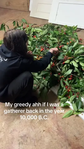 Just big and greedy