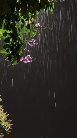 Em ơi anh sợ…một ngày mình mất nhau…#xuhuongtiktok 