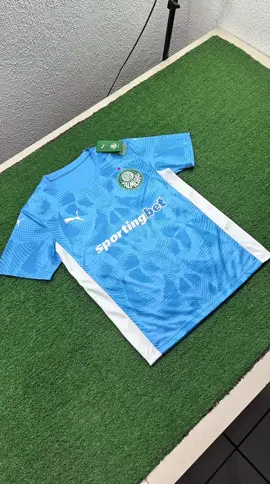 Camisa do Palmeiras 25/26 - Goleiro Versão Torcedor Tamanhos : P ao 4xl Valor : R$ 150,00 #fortaleza #caucaia #times #paixaoporfutebol 