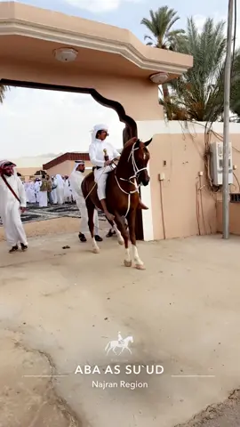 سللطان ♥️🥇. #اكسبلور #fyp #خيل_وخياله🐎 #tiktok #نجران_الان #ماشاءالله_تبارك_الله #FN #ترند_تيك_توك #ابها_الان 
