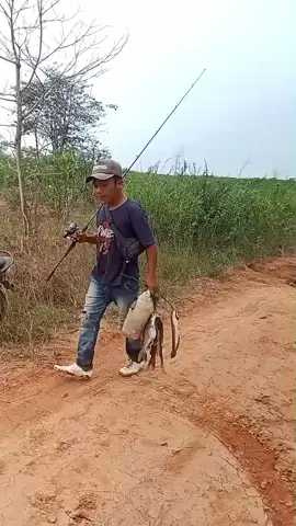 pamer hasil mancing...🤣🤣 #tiktok  #fishing  #fyp 