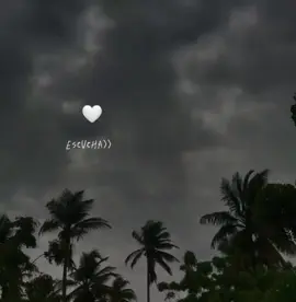 Te amo y Te amo 🤍. #paratii #fypシ゚ #vallenato #viral #felipepelaez exitos #musica #vallenatoromanticos #foryoupage #videolyrics #musicaparaestados #paracompartir #paraestadoswhatsaap #paratiiiiiiiiiiiiiiiiiiiiiiiiiiiiiii #teamoyteamo #felipepelaes #novios #paraenamorados #parejas #🤍 #vallenatosdeoro #creatorsearchinsight #xybca #xyzcba #tequiero #paracompartir #paratodoelmundo🌎