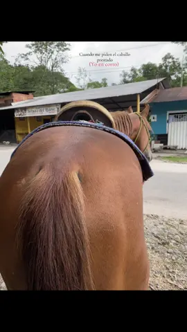 #enanitobello😍 #caballos